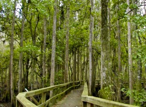 peaceriverpark-300x220